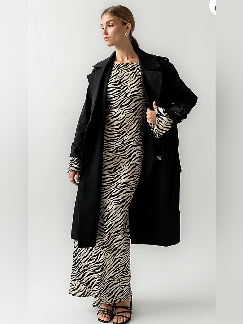 bohme Melody Zebra-Print Long Sleeve Maxi Dress - Black & Cream - Picture 2 of 10
